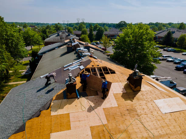 Roof Waterproofing Services in Kelly Ridge, CA