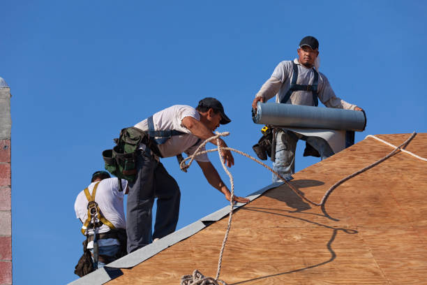 Professional Roofing Contractor in Kelly Ridge, CA